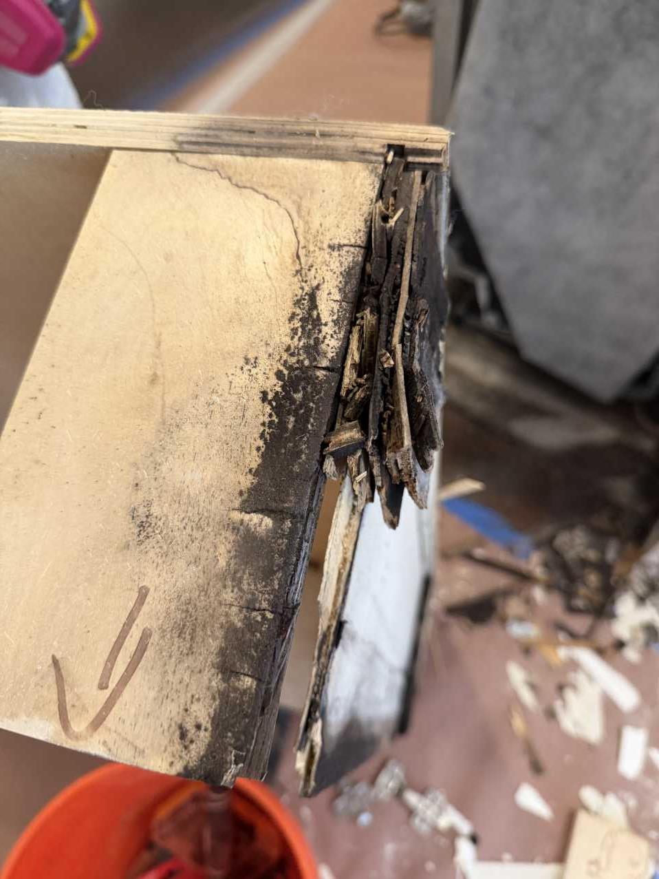 Close-up of mold growth on cabinet edge before commercial mold remediation