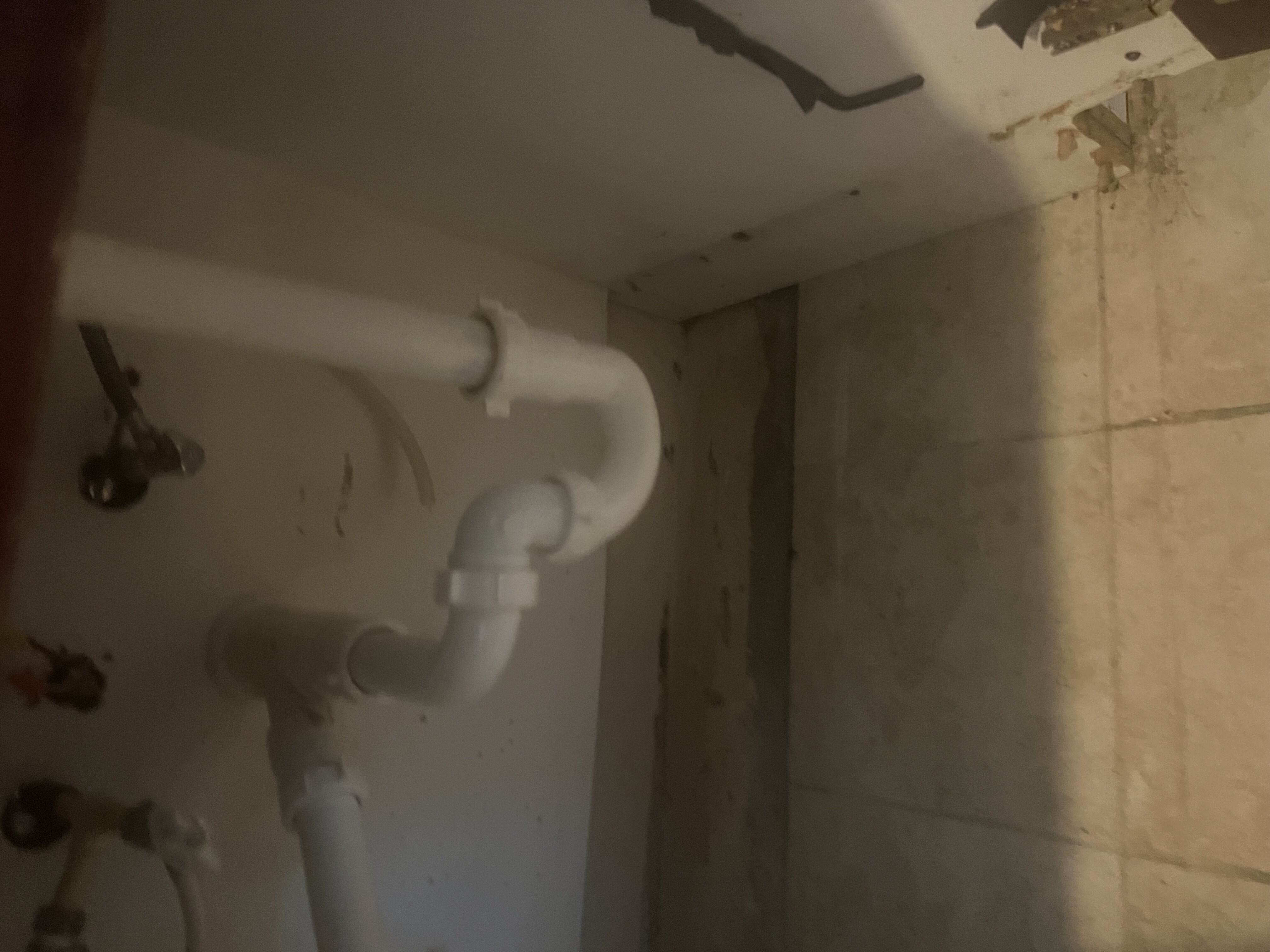 Plumbing leak found under a kitchen sink causing mold growth