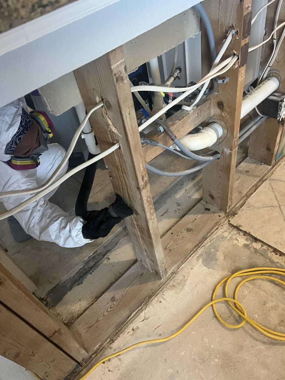 Restoration technician inspecting an open wall cavity during mold remediation