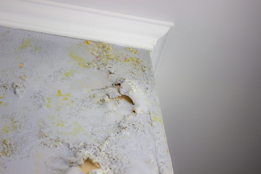 Frequently Asked Questions About Mold Damage & Mold Removal